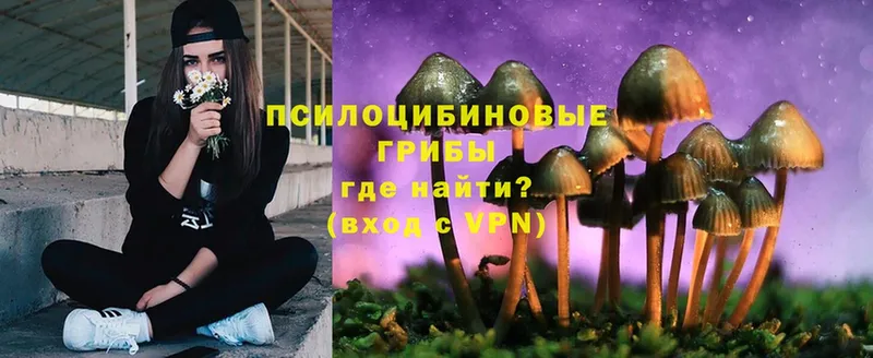 Галлюциногенные грибы Psilocybe  MEGA ссылки  Кольчугино 